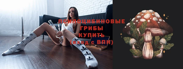 гашик Арсеньев