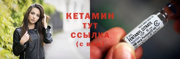гашик Арсеньев