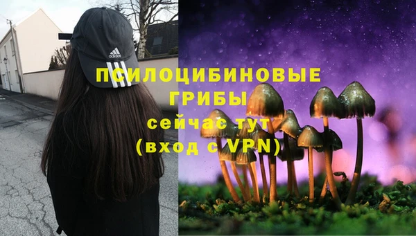 не бодяженный Аркадак