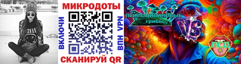 где купить наркоту Никольское Псилоцибиновые грибы Psilocybe